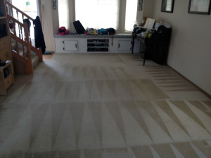 After Carpet Spot Removal